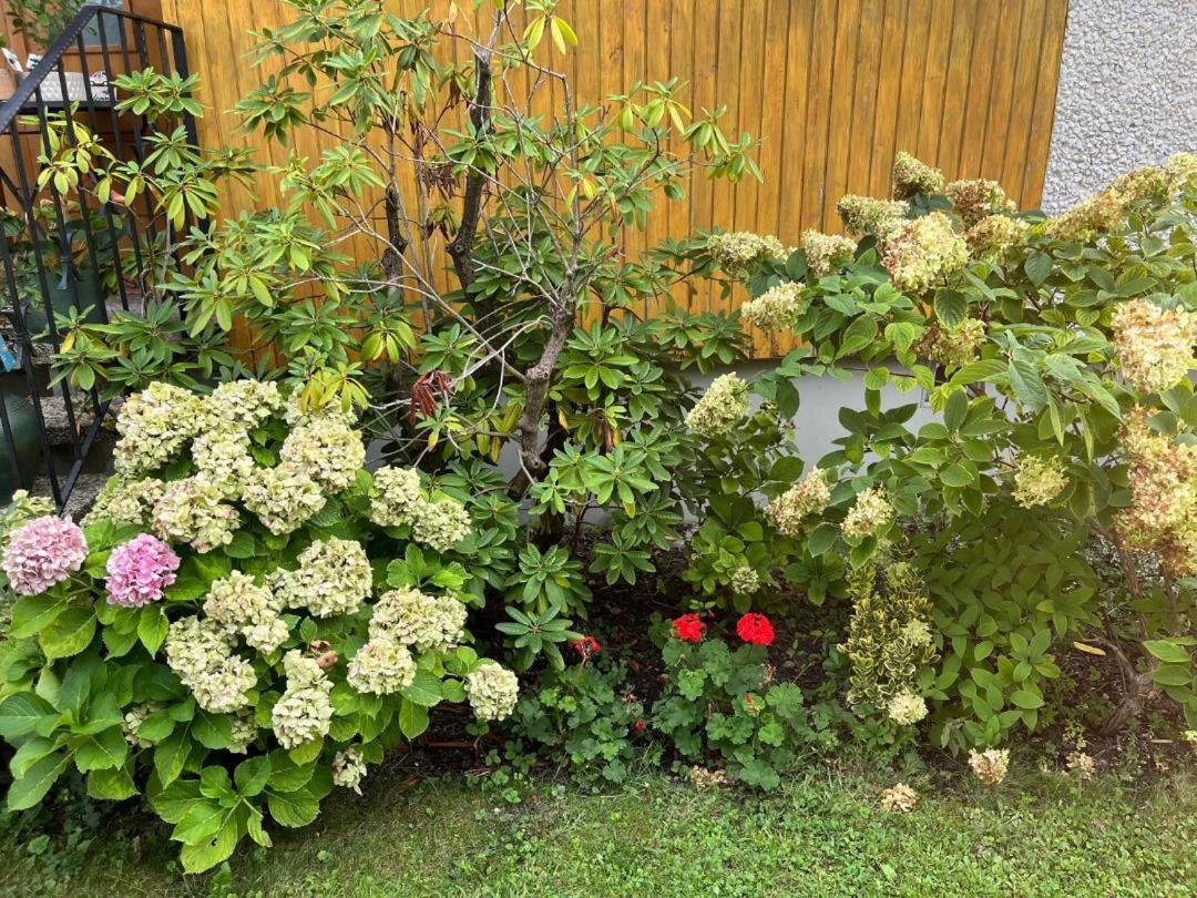 Marinela'S Bnb Viyana Dış mekan fotoğraf